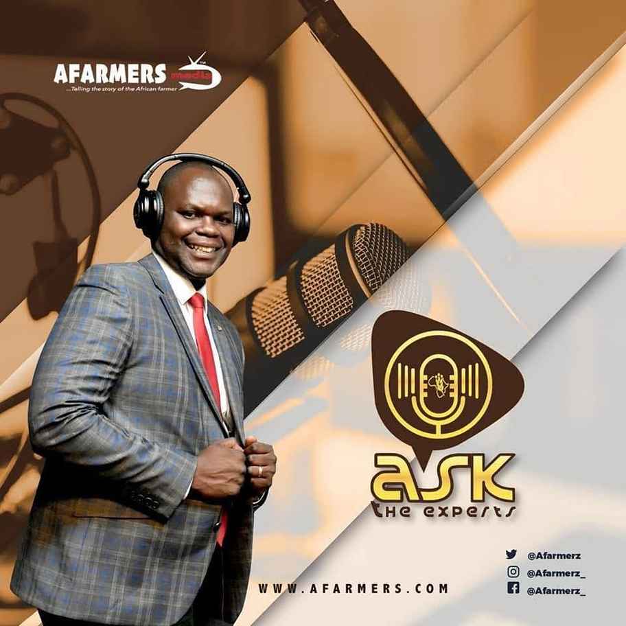 Banner artwork for AFarmers' Ask the Experts radio show