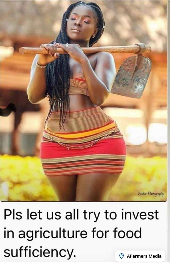 A woman farmer with a farm tool and an AFarmers food sufficiency message